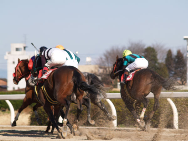 在庫　２００７年２月　岐阜県　笠松競馬場　その７_b0120889_042169.jpg