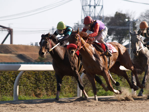 在庫　２００７年２月　岐阜県　笠松競馬場　その７_b0120889_04778.jpg