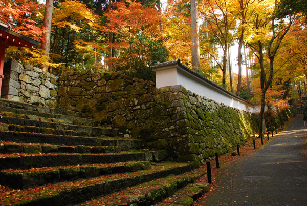 秋-京都　08’　-　三千院　1_c0066392_20263798.jpg