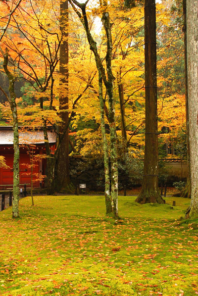 秋-京都　08’　-　三千院　1_c0066392_20265287.jpg