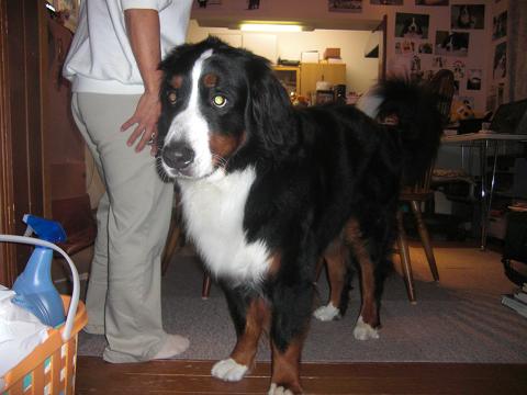 f0169892_232642.jpg
