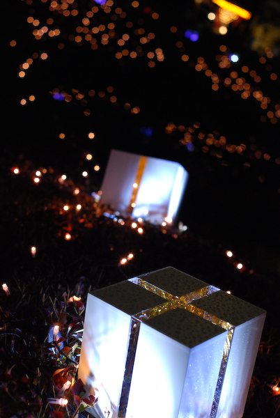 d0114093_20223674.jpg