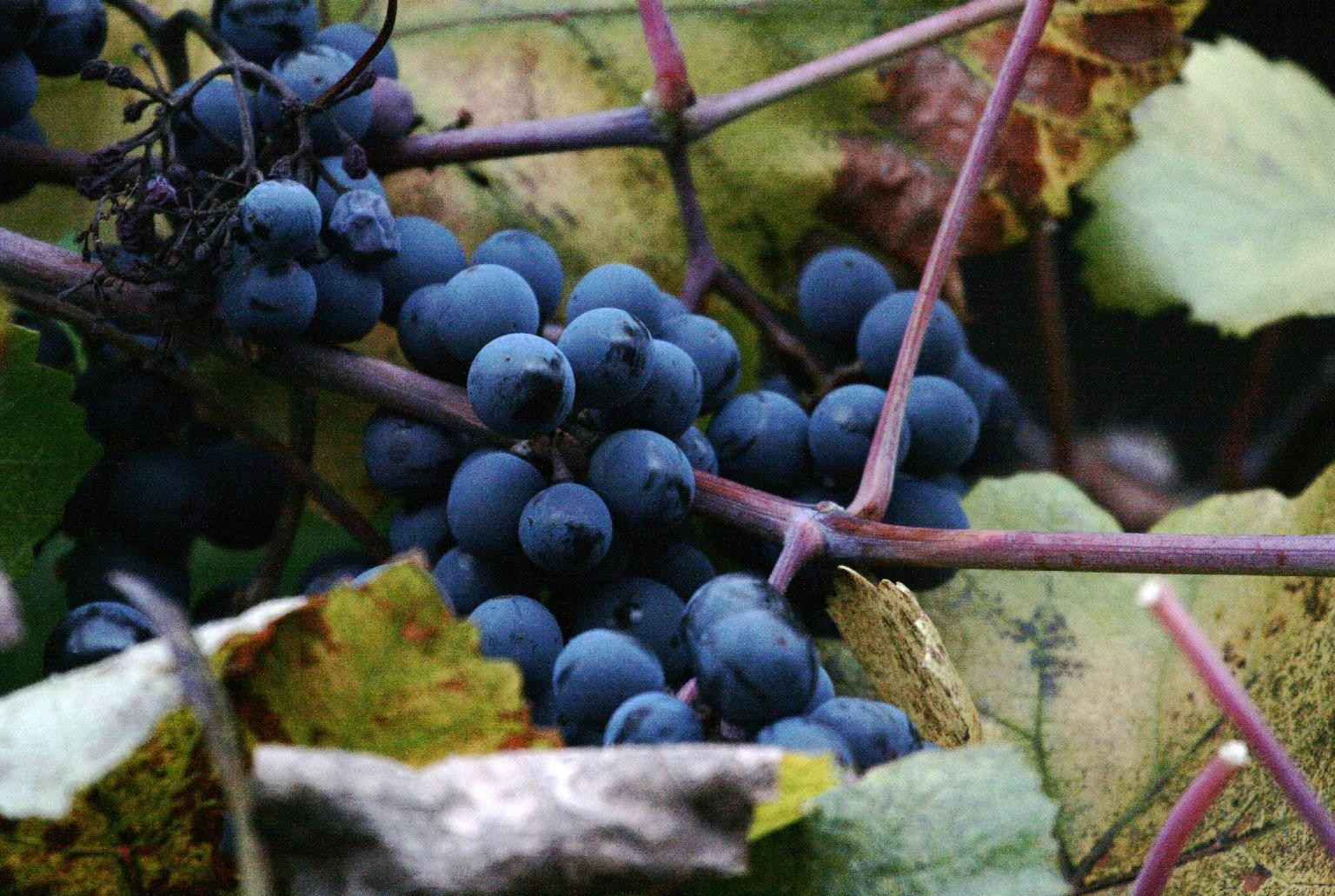 d0133693_6524259.jpg