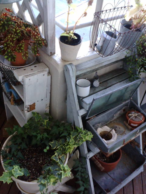 f0197497_1584072.jpg