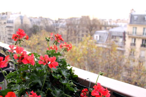 c0090198_244082.jpg