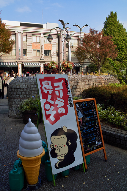 ヘブンアーティストそして?・・・秋の上野恩賜公園_d0069398_7113010.jpg