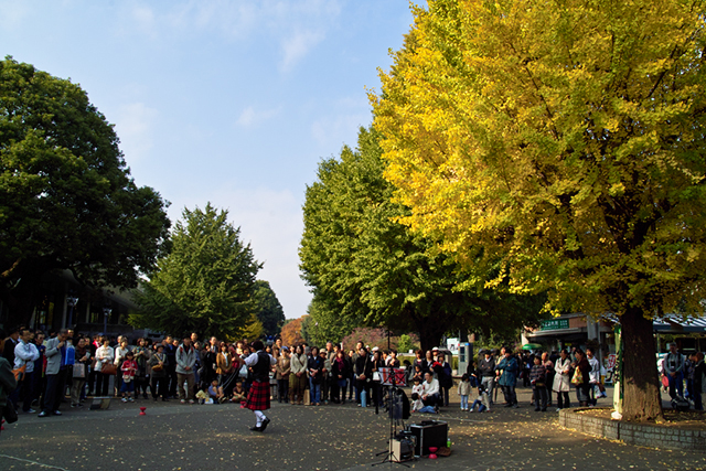 ヘブンアーティストそして?・・・秋の上野恩賜公園_d0069398_711937.jpg