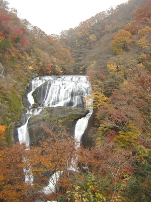 b0135601_85559.jpg
