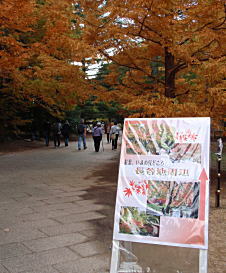 2008　紅葉_e0097701_0151996.jpg