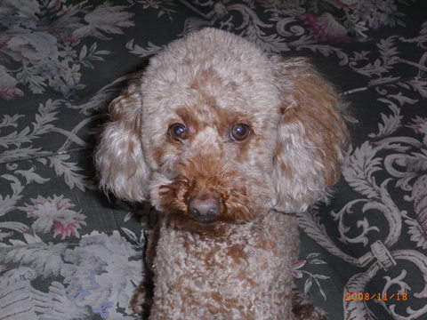 c0156703_20123372.jpg