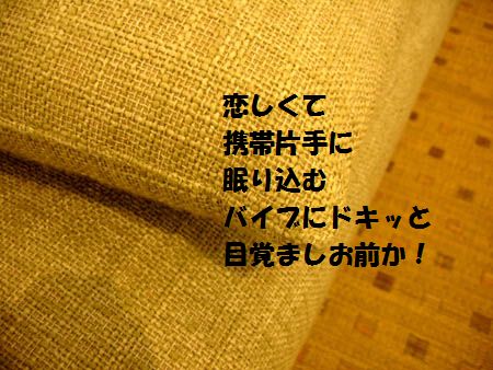 a0043405_2058564.jpg
