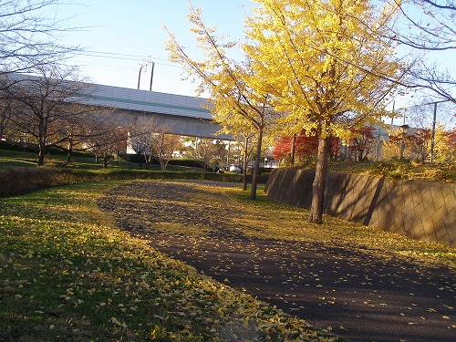 d0147812_9185117.jpg