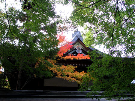 黄葉の御霊神社_e0048413_2055152.jpg