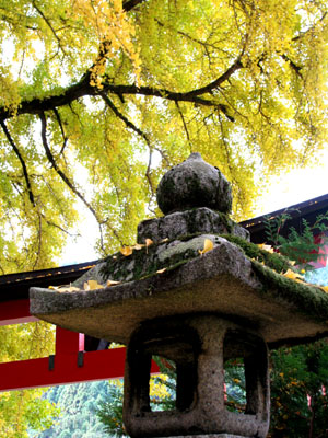 黄葉もさかり 岩戸落葉神社_e0048413_22582155.jpg