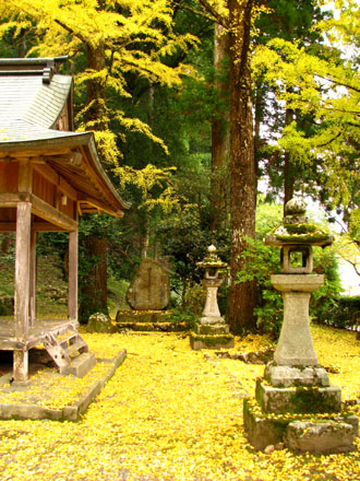 黄葉もさかり 岩戸落葉神社_e0048413_2258373.jpg
