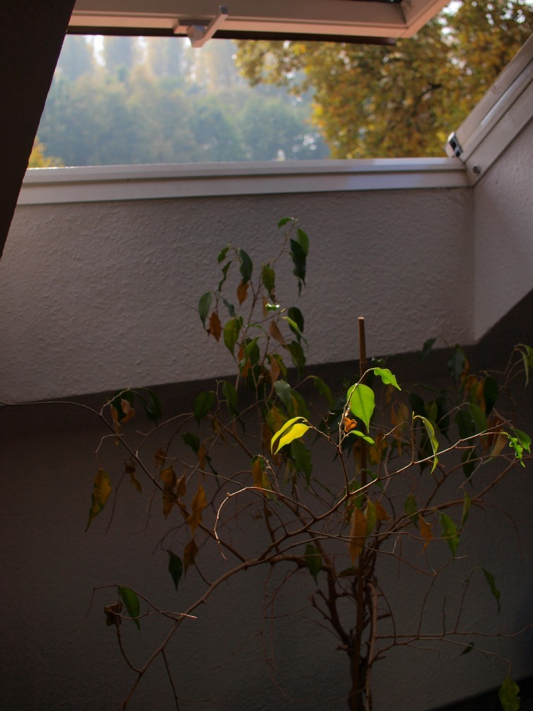 b0148617_0344463.jpg