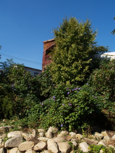 c0136217_1645781.jpg