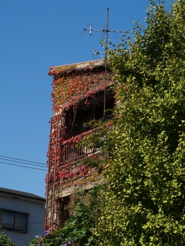 c0136217_165778.jpg