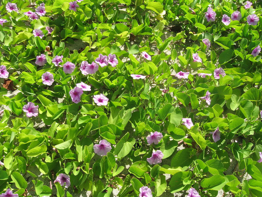 c0167821_10274255.jpg