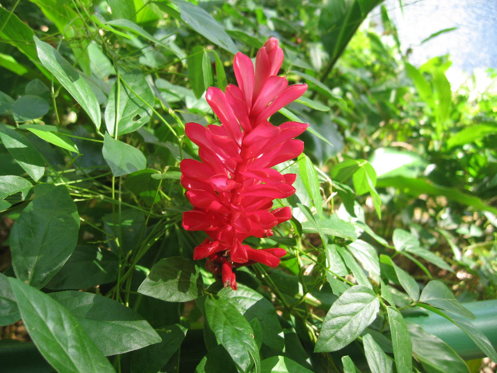 c0167821_10277100.jpg