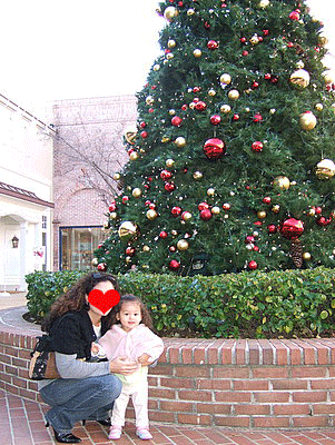 c0151122_12415735.gif