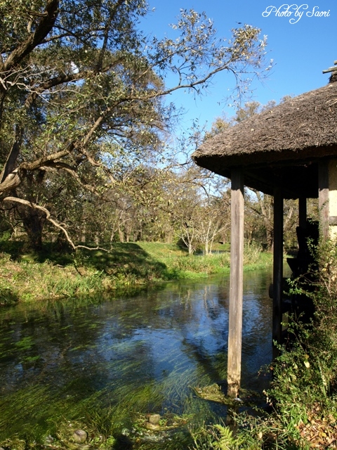 c0157624_20193817.jpg