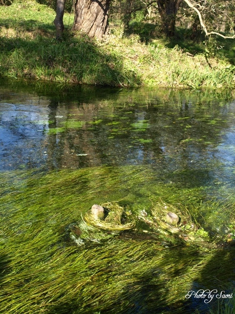 c0157624_20194659.jpg