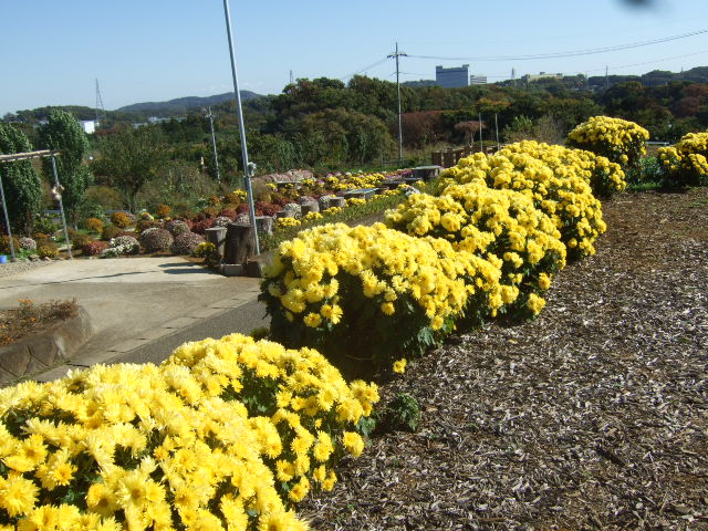 b0137932_19492834.jpg