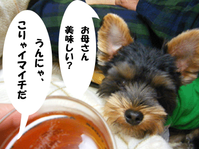 f0008935_13282593.gif