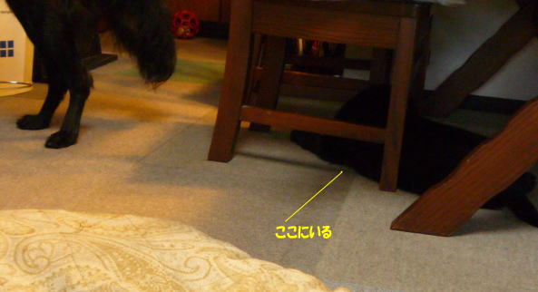c0048736_932238.jpg