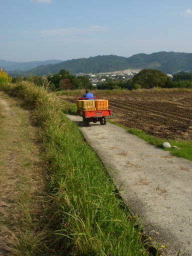 古道シリーズ（６）～葛城古道（前編）_c0032138_2230557.jpg