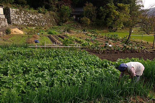 田舎の撮影で・・・_a0031741_9111557.jpg