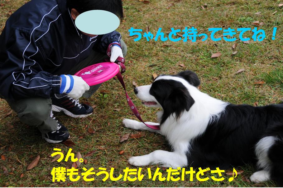 c0147241_2203430.jpg