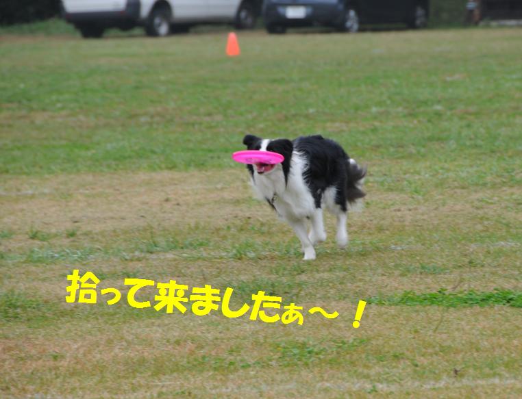 c0147241_2205813.jpg