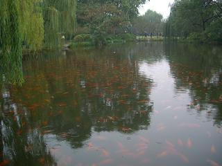 e0121844_2042135.jpg