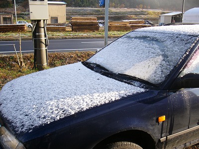 雪降った！_c0123748_11192170.jpg