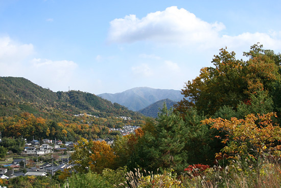 f0147858_1549381.jpg