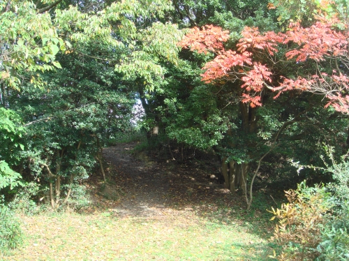 泉佐野丘陵緑地運営委員会議題検討_c0108460_1543076.jpg