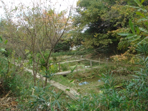 泉佐野丘陵緑地運営委員会議題検討_c0108460_15452129.jpg
