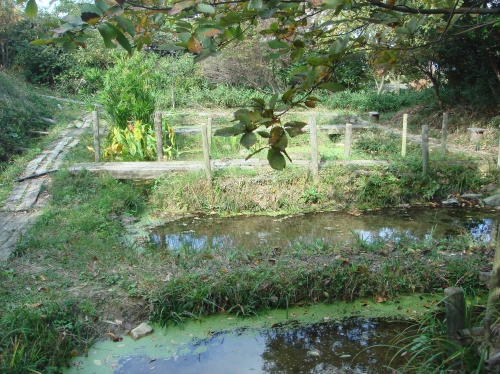 泉佐野丘陵緑地運営委員会議題検討_c0108460_1546448.jpg