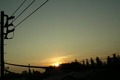f0139963_6564640.jpg