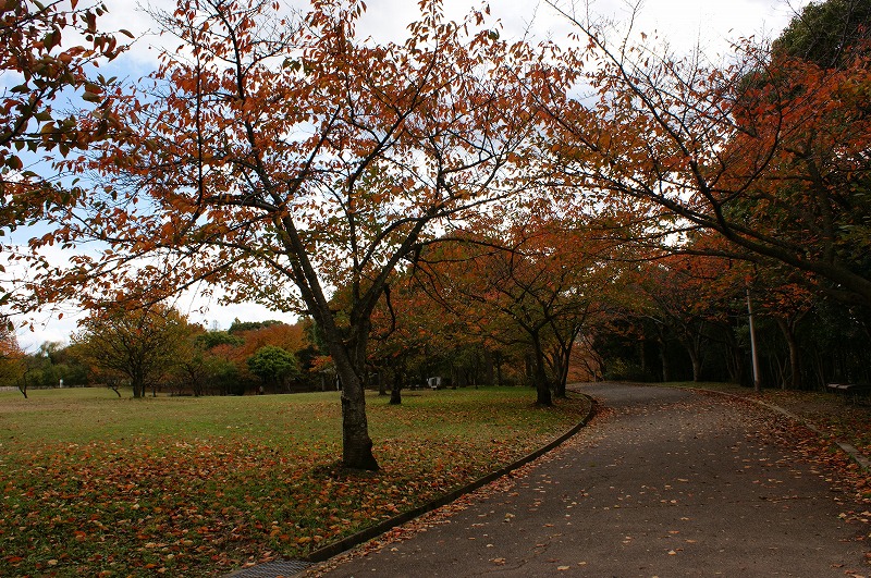 f0161964_1754061.jpg