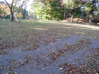 a0087378_2564090.jpg