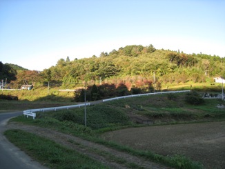 a0087378_35067.jpg