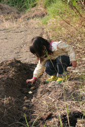 やっと、ジャガイモの植え付け開始!_b0084378_2254318.jpg