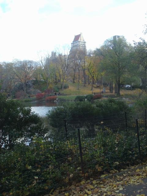 d0100880_2320549.jpg