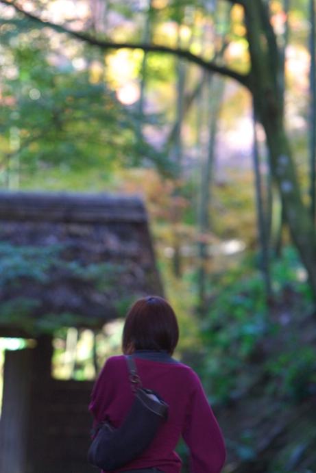 「西山荘」の紅葉　常陸太田　急遽アップ致します_e0143883_2214094.jpg