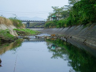 f0061283_8461246.jpg