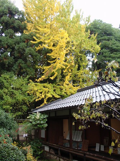 c0105785_98580.jpg