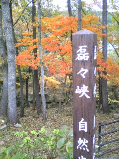 d0031086_1581610.jpg